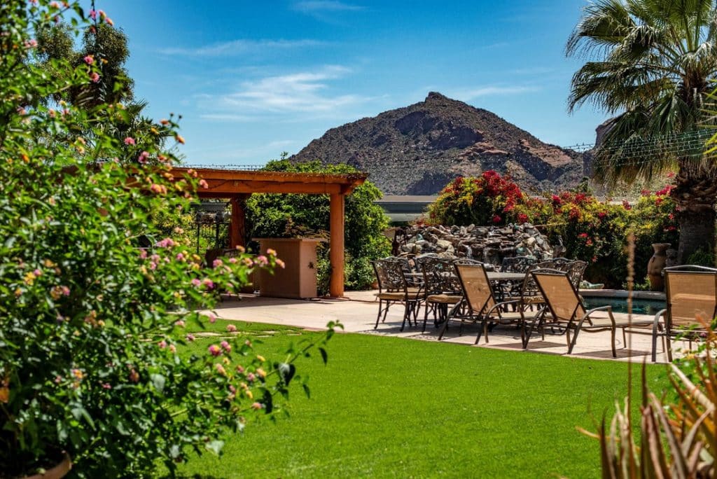 Read more about the article Pergola Plants: Highlight Your Pergola Right