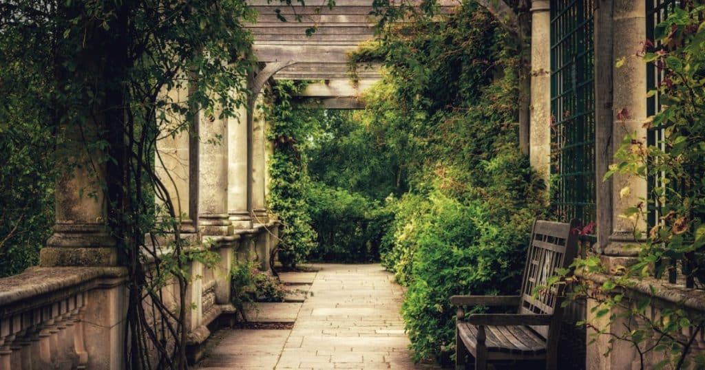 Read more about the article 10 Creative Ways to Decorate Your Pergola